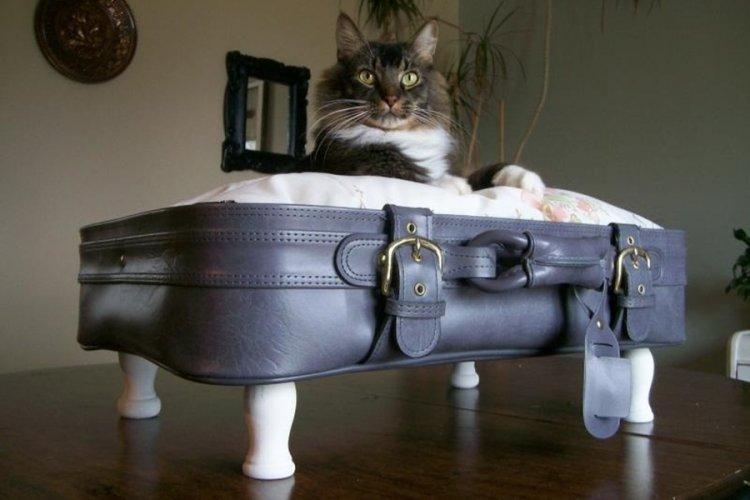 Lit pour chat à faire soi-même - photos et idées