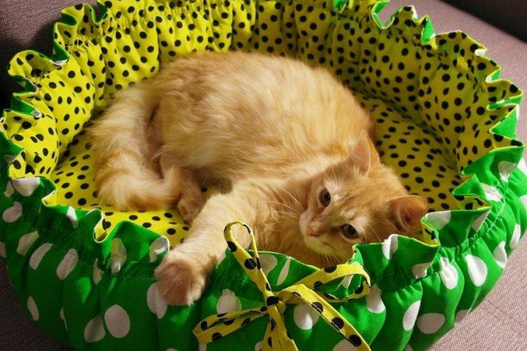Lit pour chat à faire soi-même - photos et idées