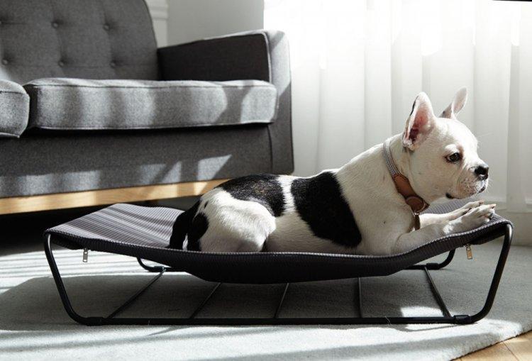 Lit pour chien à faire soi-même - photos et idées