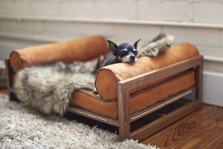 Lit pour chien à faire soi-même - photos et idées