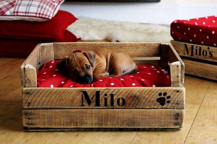 Lit pour chien à faire soi-même - photos et idées