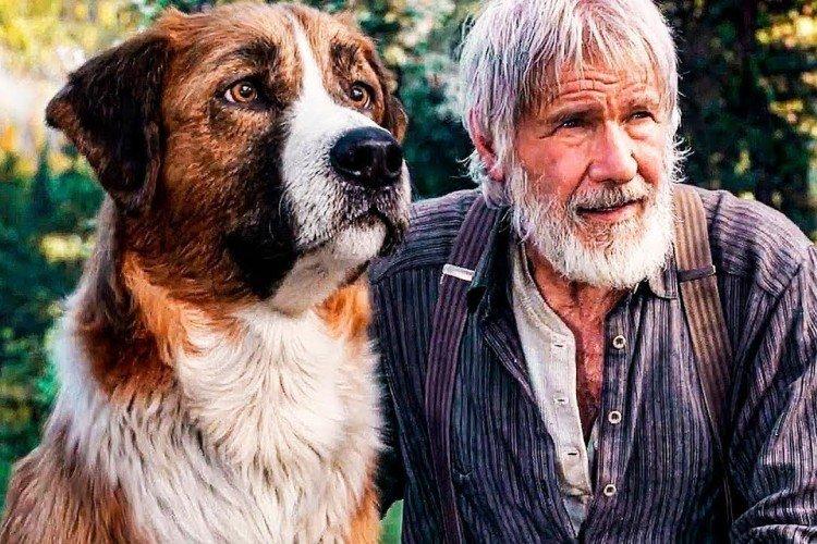 Call of the Wild - les meilleurs films sur les chiens