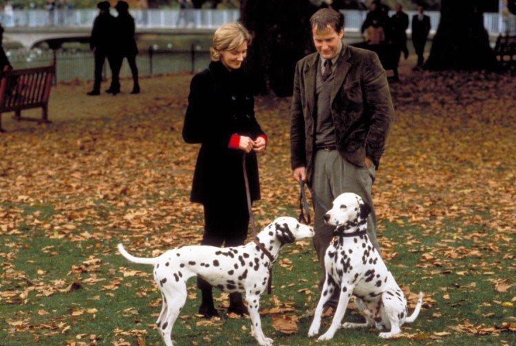 Les 101 Dalmatiens - les meilleurs films sur les chiens