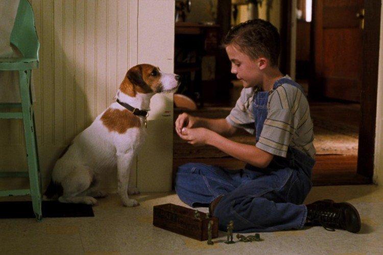 Mon chien Skip - les meilleurs films sur les chiens