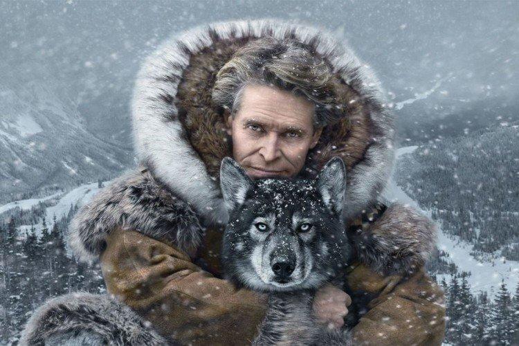 Togo - Meilleurs films de survie