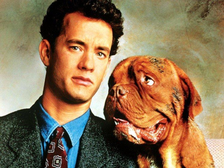 Turner et Hooch - Meilleurs films avec Tom Hanks