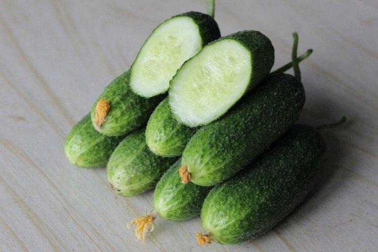 Alex - Cultivars de concombre autogames ou parthénocarpiques