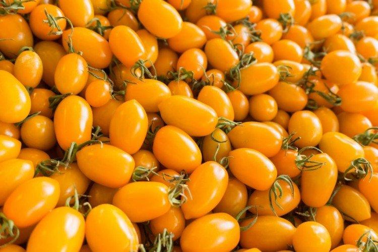 Bonbons au miel - Les meilleures variétés de tomates cerises pour l'Oural et la Sibérie