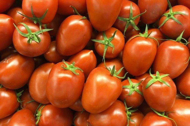 Budenovka - Variétés de tomates en polycarbonate pour serres
