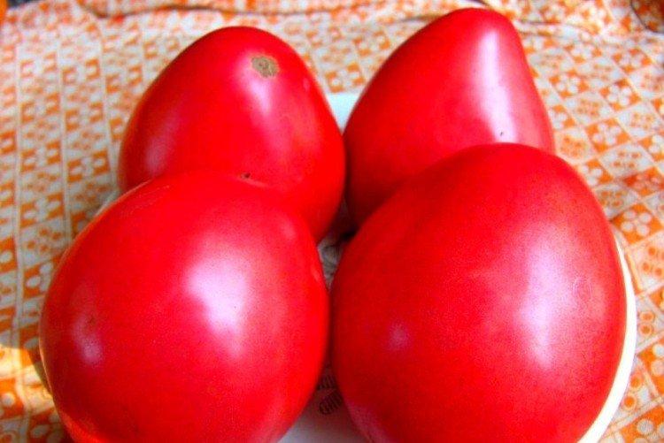 Pudovik - Variétés de tomates de mi-saison