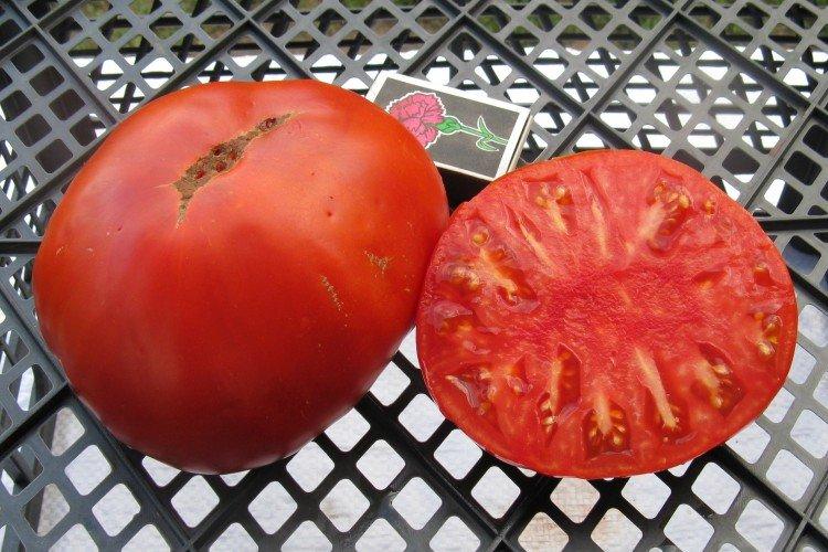 King of Giants - Les meilleures variétés de tomates pour les serres