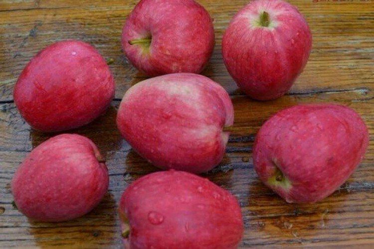 Été rayé - Variétés de pommes d'été