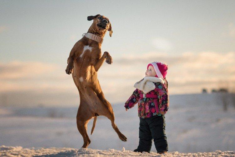 Let's Dance - Les petits enfants et leurs grands chiens
