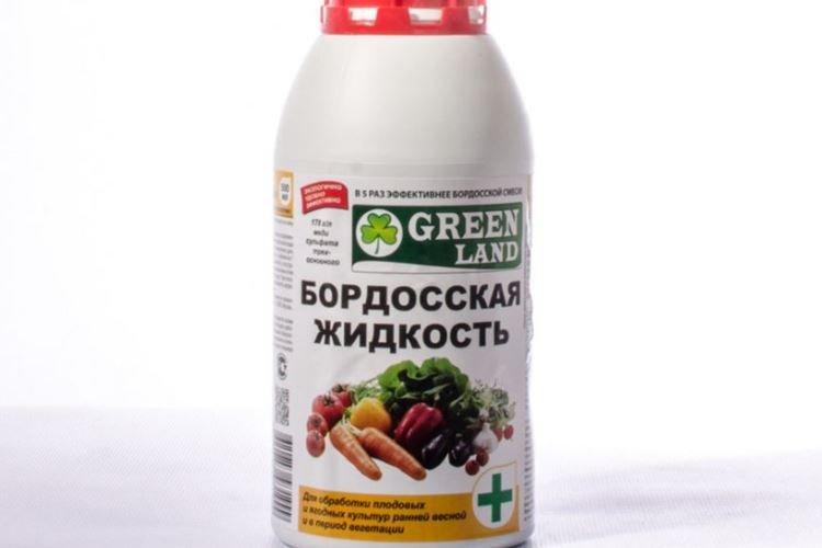 Liquide bordelais - Traitement contre l'oïdium des groseilles à maquereau