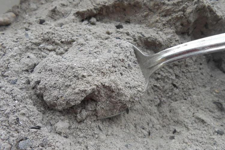 Ash - Remèdes populaires contre l'oïdium sur les groseilles à maquereau