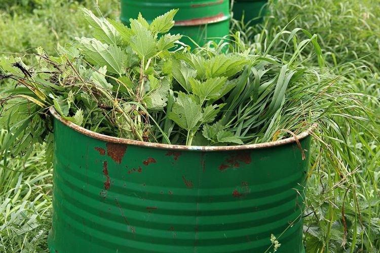 Siderata - Remèdes populaires contre l'oïdium sur les roses