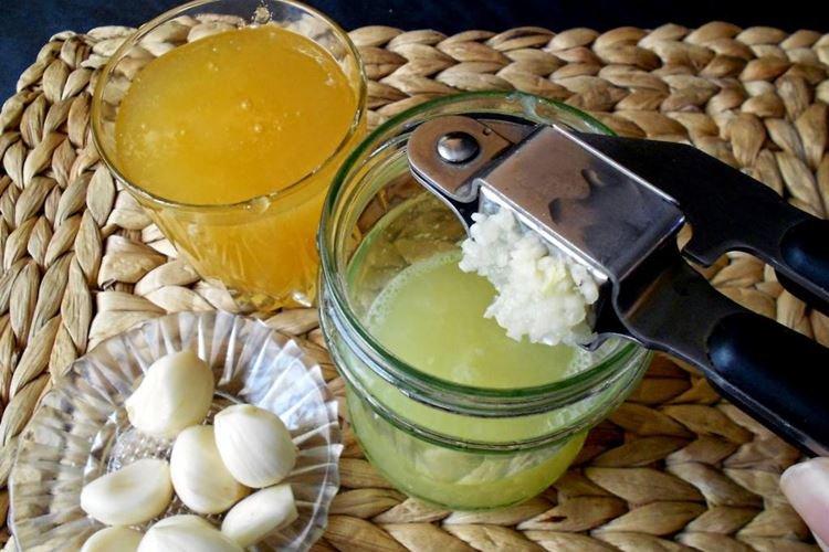 Ail - Remèdes populaires contre l'oïdium sur les roses