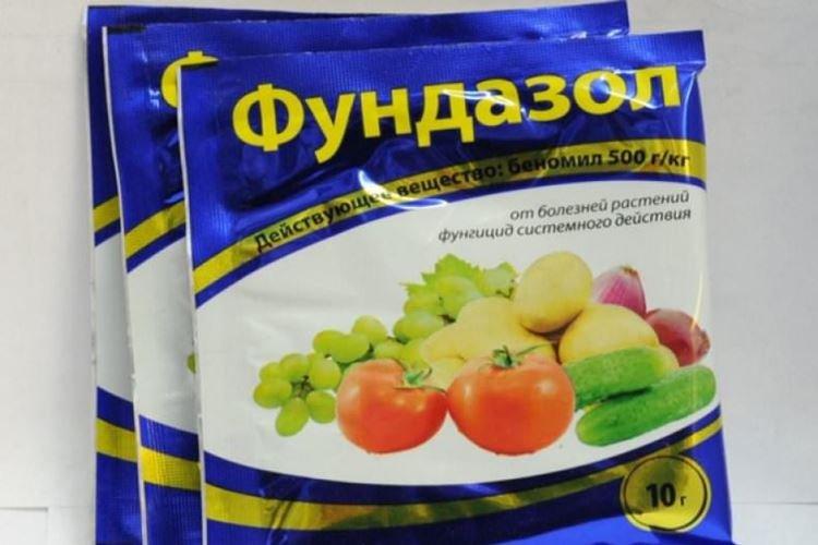 Fundazol - Traitement des groseilles contre l'oïdium