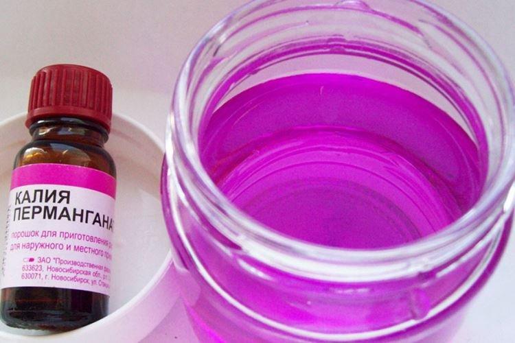 Permanganate de potassium - Remèdes populaires contre l'oïdium sur les groseilles