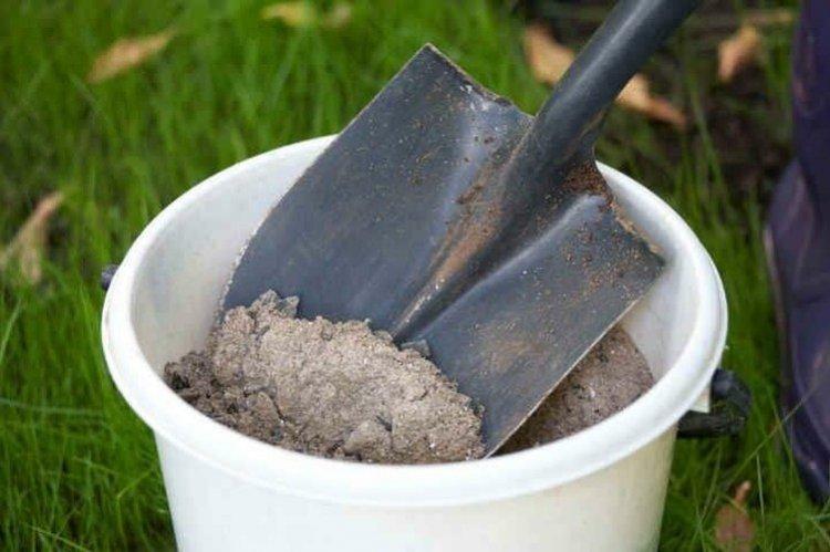 Traitement des groseilles avec les cendres du champignon