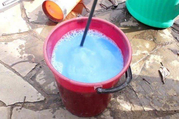 Traitement des groseilles avec du liquide bordelais de la rouille