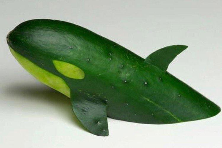 Bricolage des légumes à l'école - photos et idées