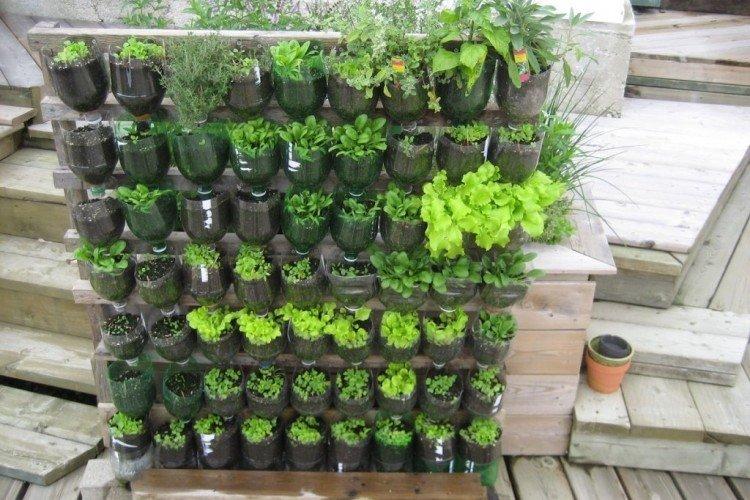 Mur végétal - Bricolage à partir de bouteilles en plastique