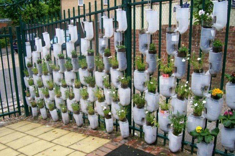 Mur végétal - Bricolage à partir de bouteilles en plastique