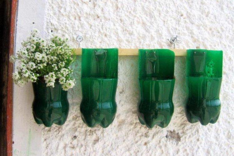 Mur végétal - Bricolage à partir de bouteilles en plastique