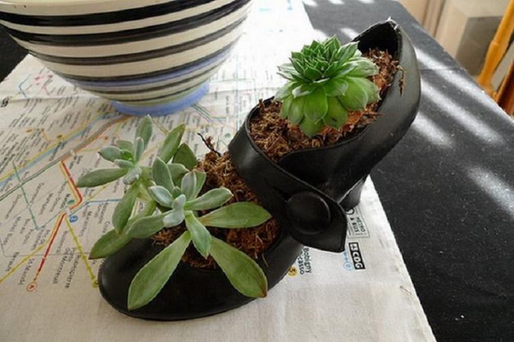 Beaux pots de fleurs à partir de vieilles chaussures - Bricolage à partir de vieilles choses