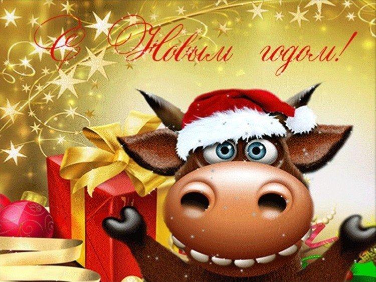 Bonne année 2021 - cartes et photos