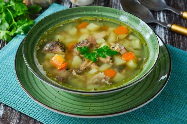 Soupe de maquereau à l'huile - Recettes de soupe de poisson en conserve