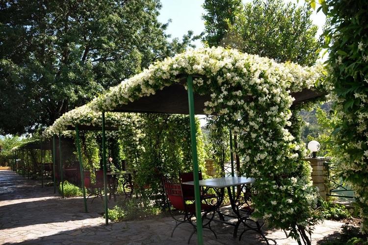 Gazebos de jardin vivants
