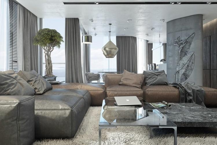 Couleur grise à l'intérieur du salon