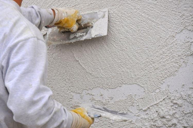 Comment appliquer le scolyte du plâtre