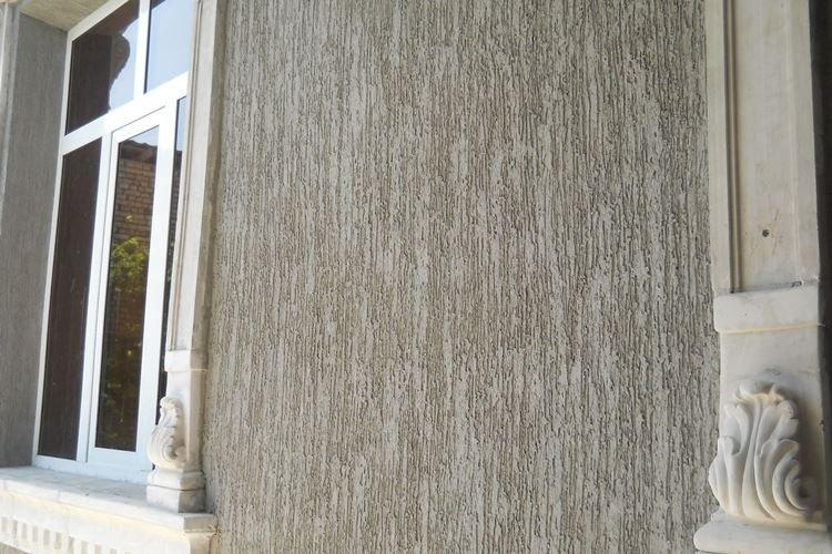 Coléoptère du plâtre pour façades - photos et idées