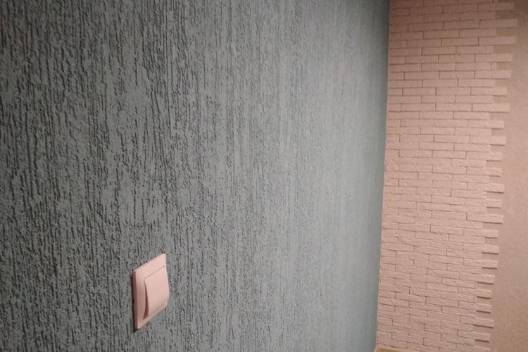 Coléoptère du plâtre à l'intérieur - photos et idées