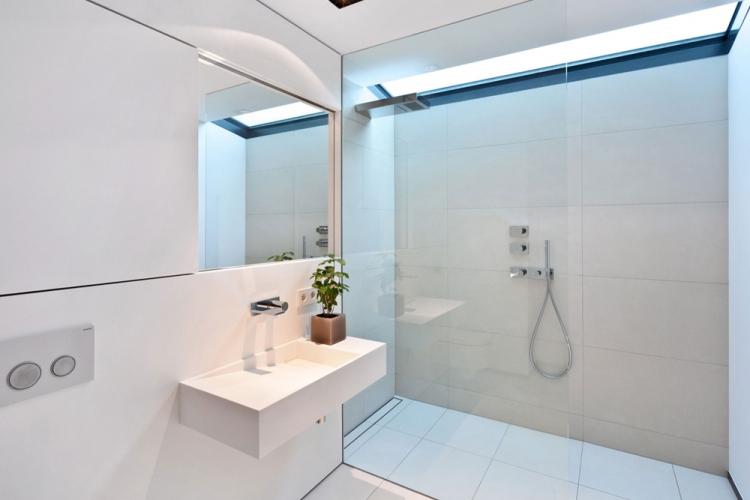 Cloisons vitrées dans la salle de bain - Design d'intérieur