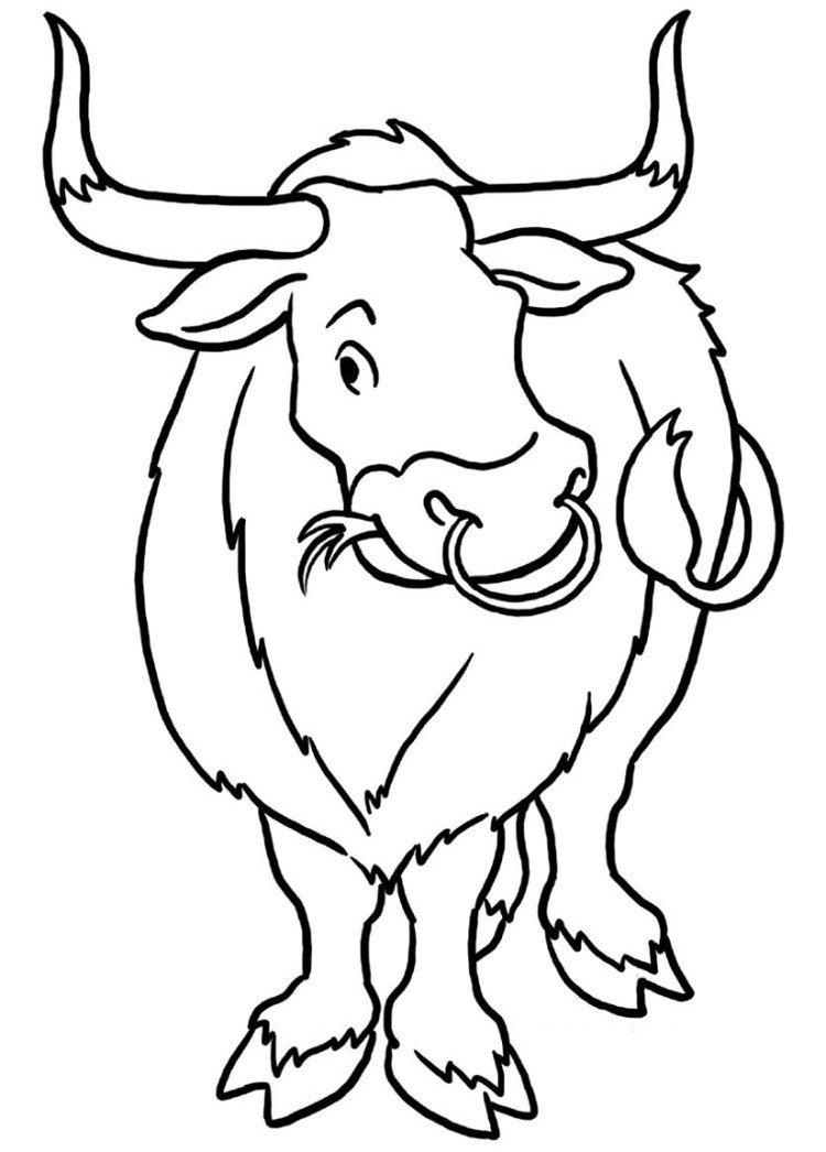 Pochoirs du taureau sur les fenêtres pour le nouvel an 2021 - photo