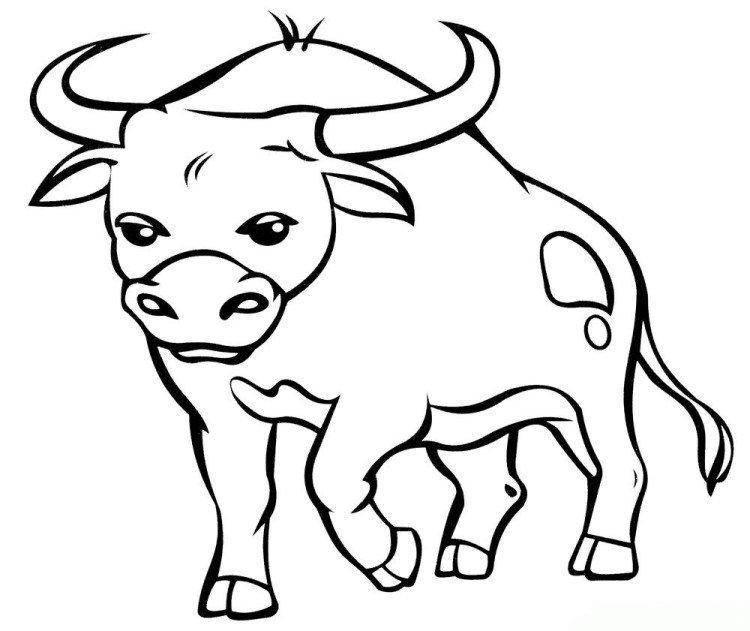 Pochoirs du taureau sur les fenêtres pour le nouvel an 2021 - photo