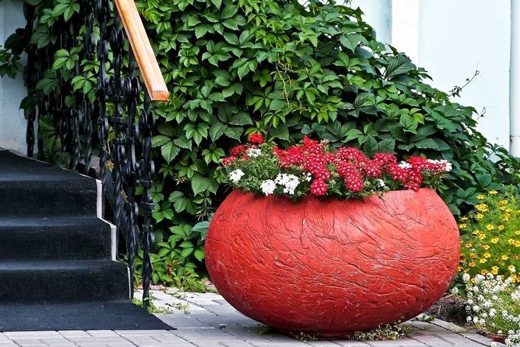 Pots de fleurs d'extérieur - photo