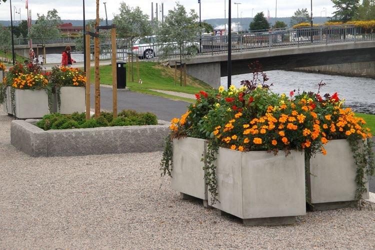 Pots de fleurs d'extérieur - photo