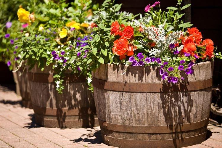 Pots de fleurs d'extérieur - photo