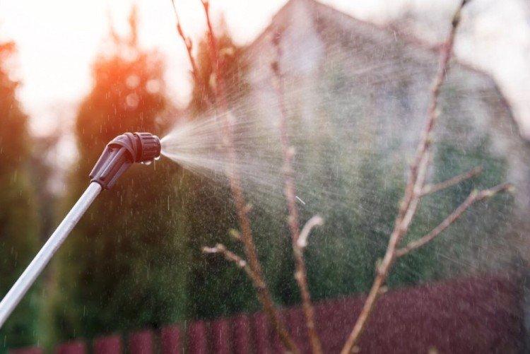 Lutte contre les gelées printanières - Application fer vitriol en horticulture