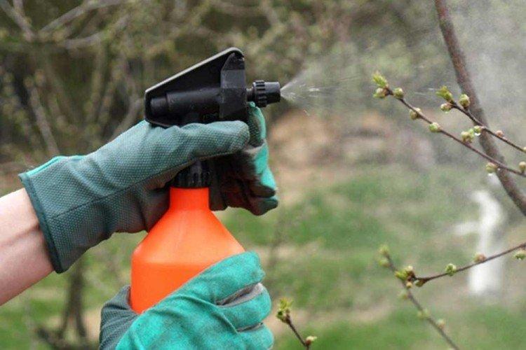 Mesures de sécurité - Application de sulfate de fer en jardinage