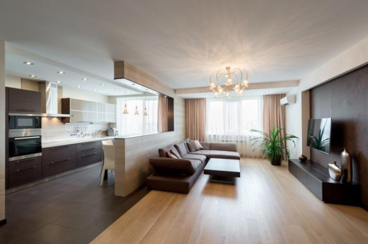 Zonage de la cuisine et du salon - photo de design d'intérieur